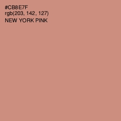 #CB8E7F - New York Pink Color Image
